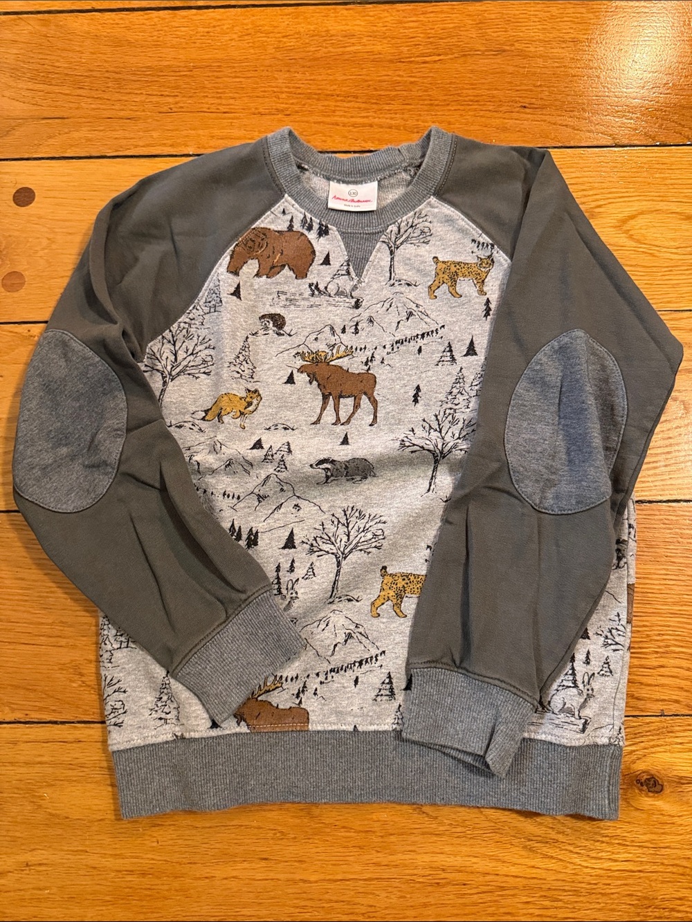Hanna Andersson Gray Crewneck Sweater with Woodland Animal Print